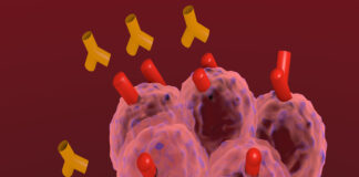 anticorpi Covid-19